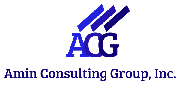 Amin Consulting Group